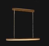 Linear suspended brass light